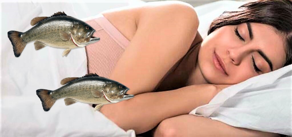 rüyada balık görmek