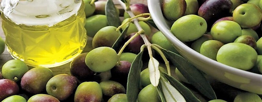 Zeytin Ağacı ve Zeytin Ağacı Yaprağının Faydaları - Güzel ...