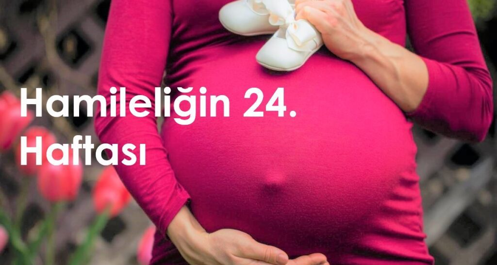 24 haftalık hamilelik